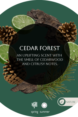 Cedar Forest for Business