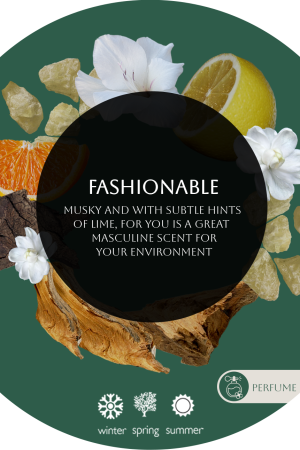 Fashionable For Business