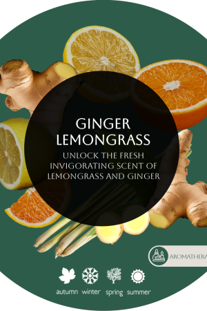 Ginger Lemongrass For Business
