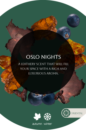 Oslo Nights for Business