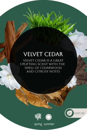 Velvet Cedar For Business