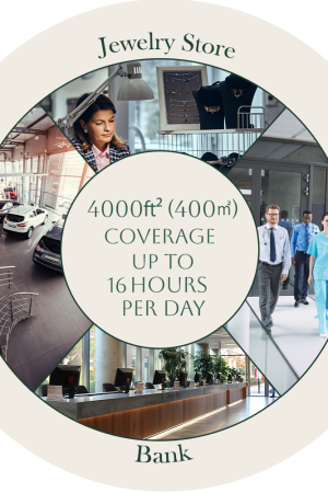 350 Classic Bundle 16 hours