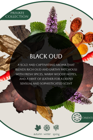 BLACK OUD For Business
