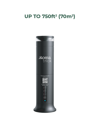 Aroma Trick 50 to Move - 24